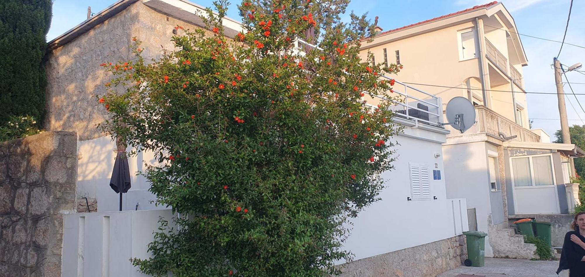 Apartmani Sara Marija 卡尔卢巴格 外观 照片